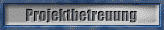Projektbetreuung